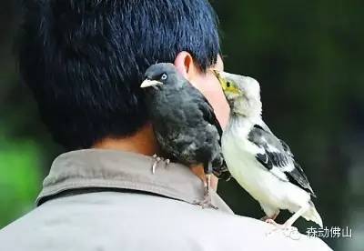 三水那个地方好玩_三水好玩的地方_好玩三水地方推荐