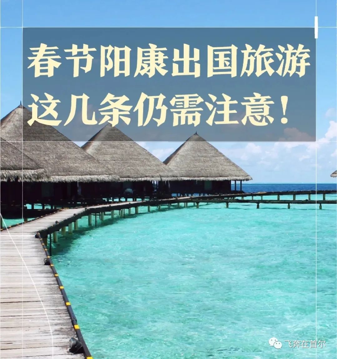 出国旅游的护照_出国护照旅游有优惠吗_出国旅游己有护照