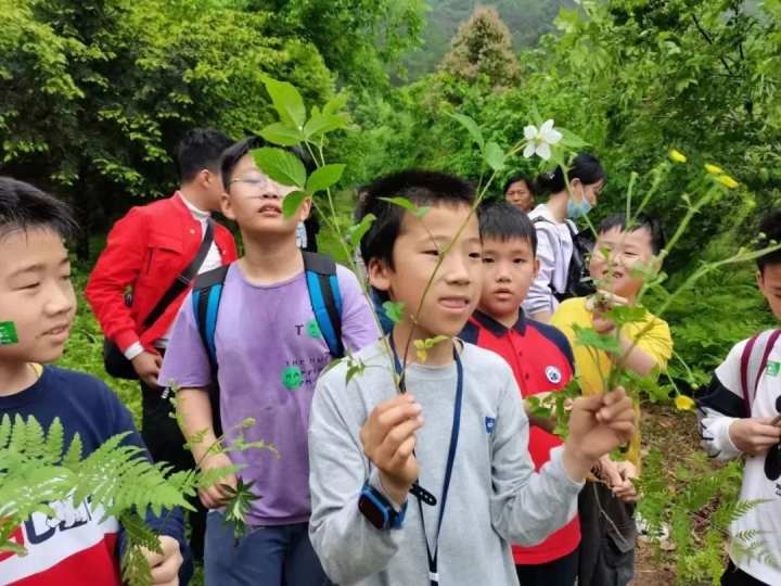 桐庐冬天旅游攻略_桐庐大奇山旅游攻略_桐庐有一座山