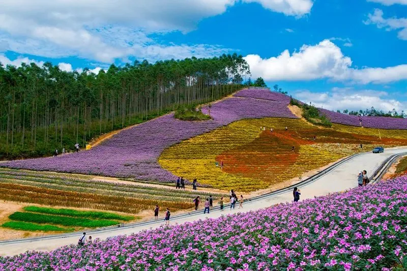 桐庐大奇山旅游攻略_桐庐冬天旅游攻略_桐庐有一座山