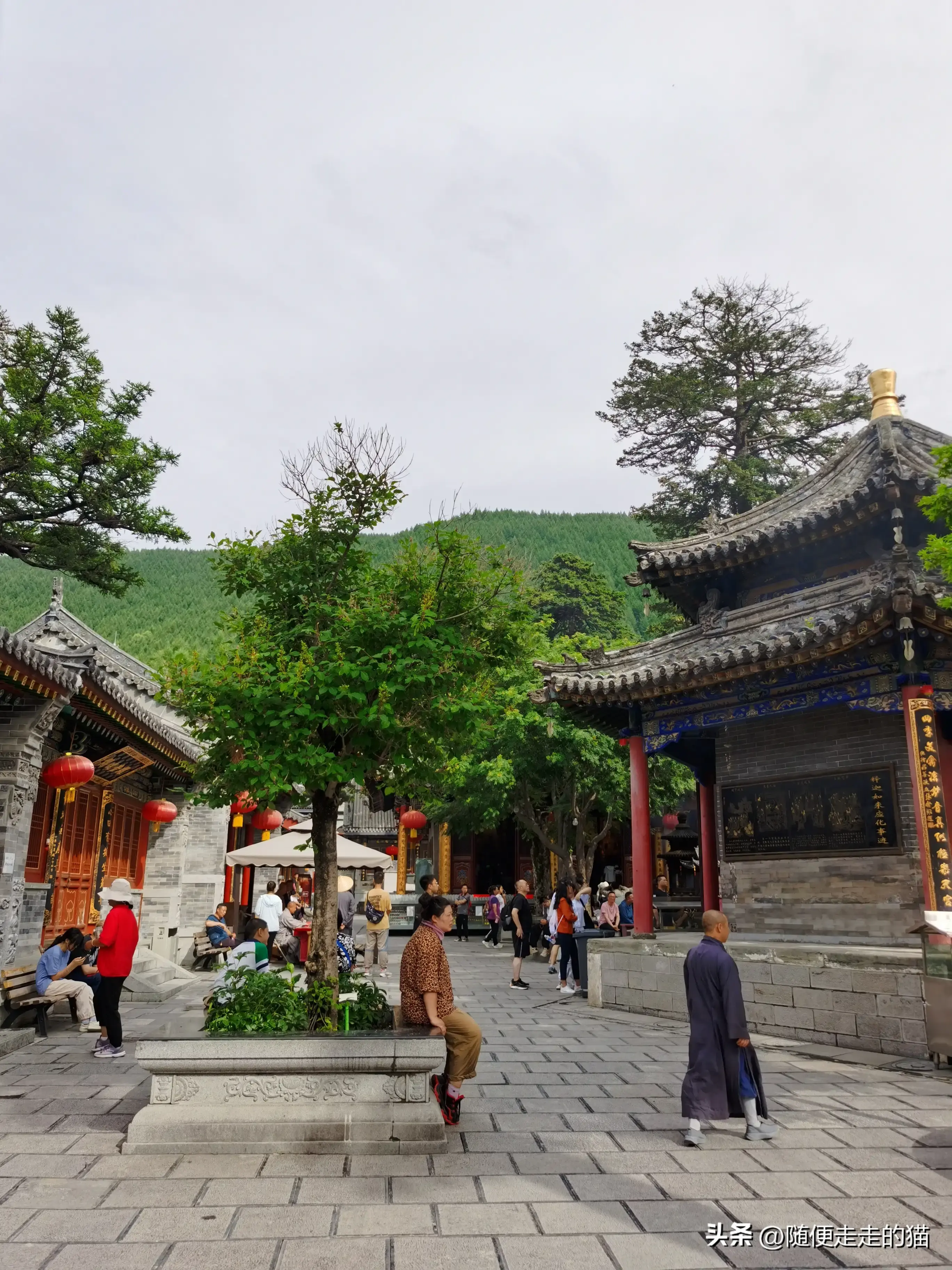 台山旅游攻略_台山旅游住在哪里好_五台山旅游攻略住宿