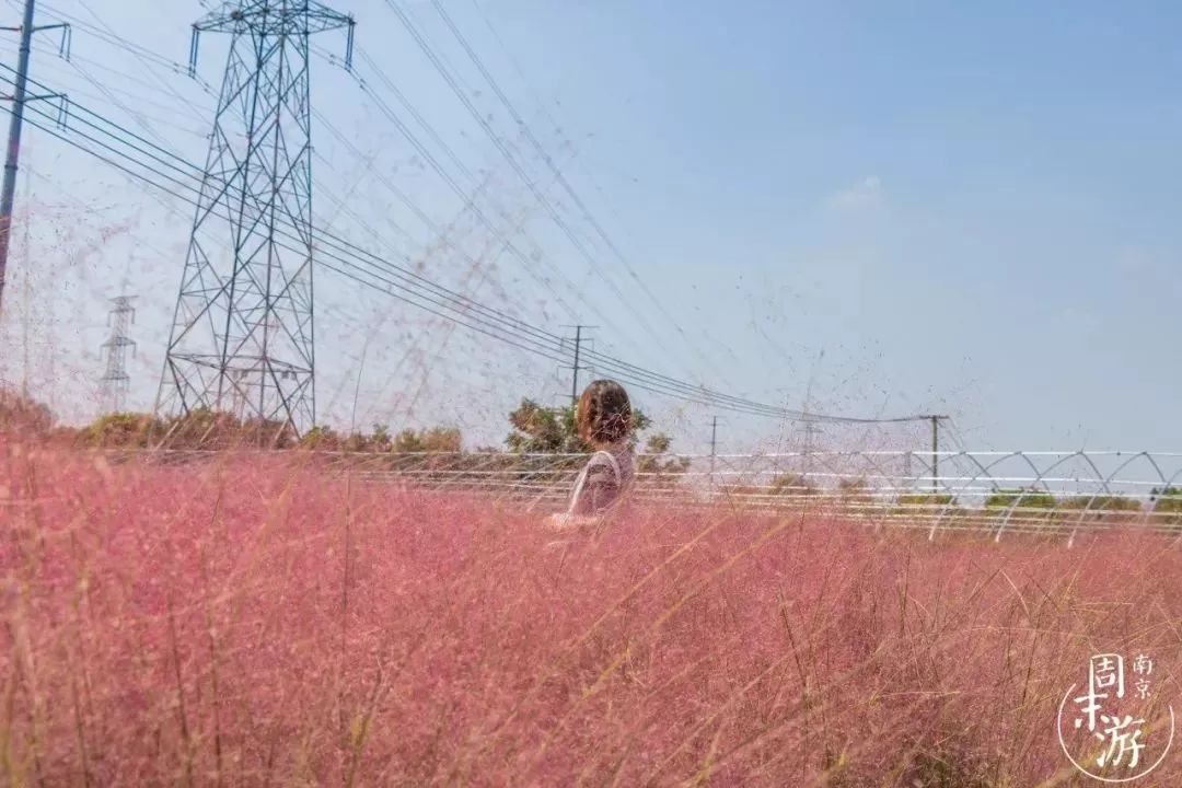 江宁好玩的免费景点_江宁好玩的免费景点_江宁好玩的免费景点