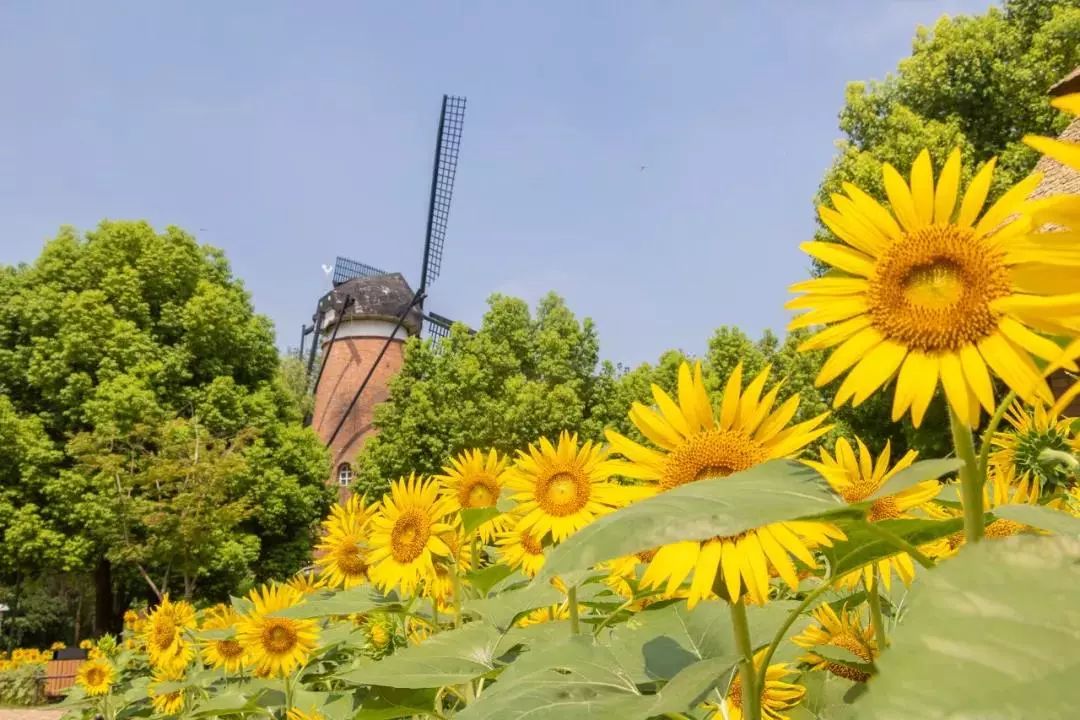 江宁好玩的免费景点_江宁好玩的免费景点_江宁好玩的免费景点