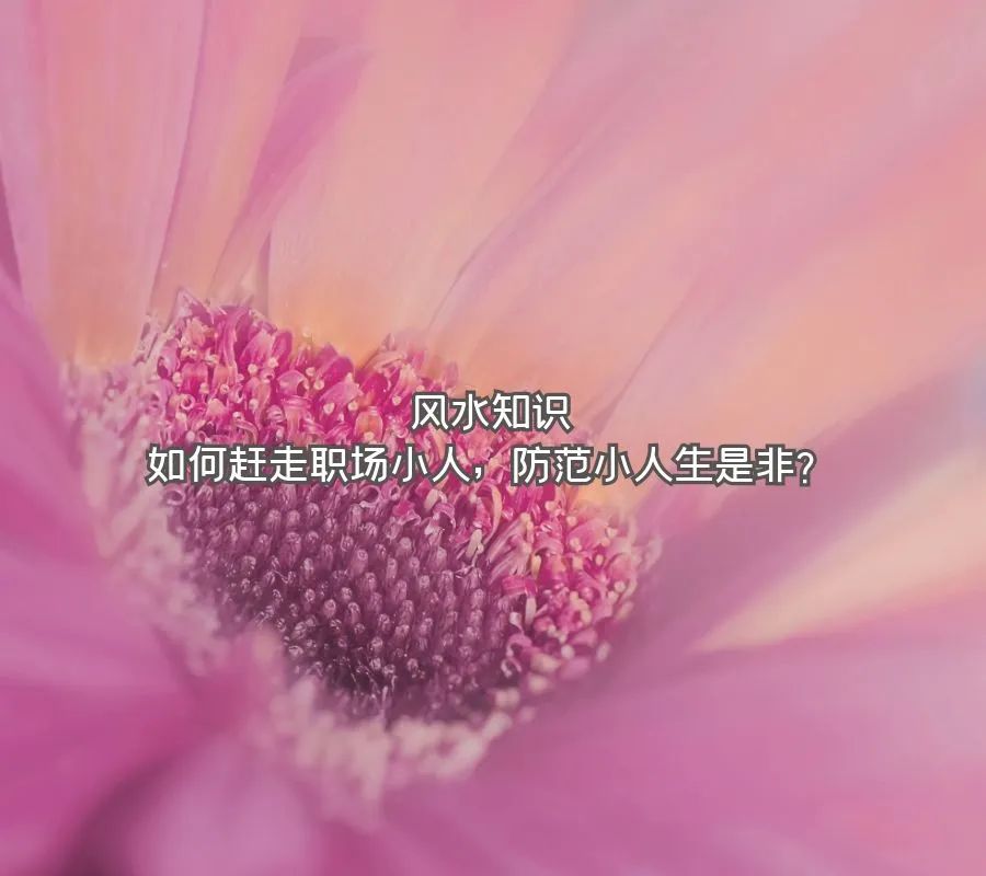 职场小人图片大全_职场小人图片搞笑_职场小人图片