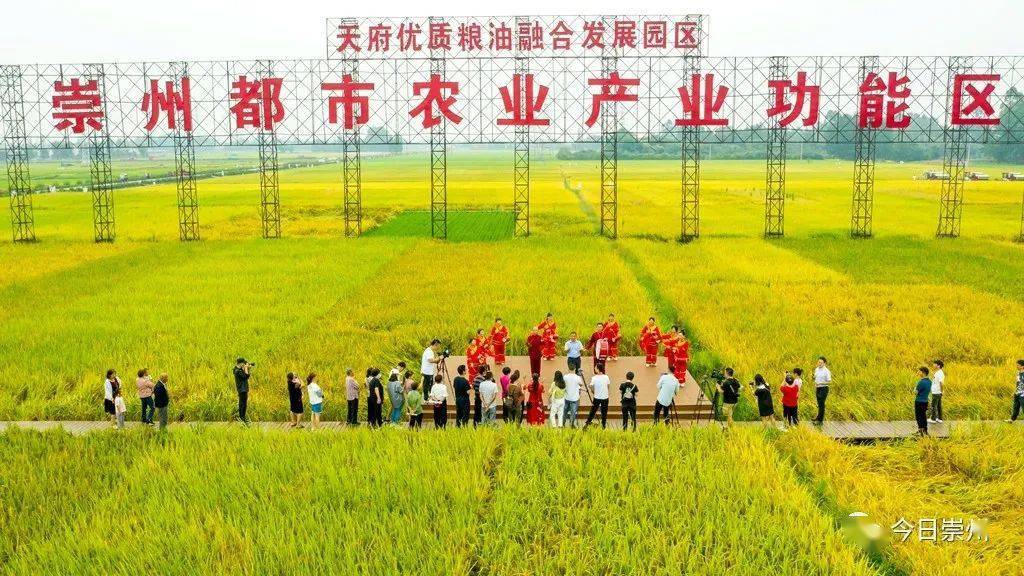 邛崃国民村镇银行招聘_银行招聘邛崃_邛崃市人民银行招聘