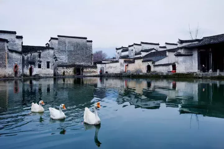 宏村阿菊秀门票多少钱_宏村阿菊游玩攻略_宏村阿菊秀观后感