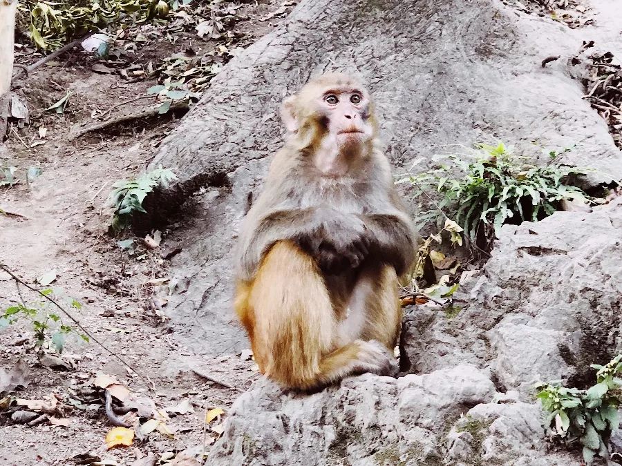 贵州贵阳旅游路线_贵州贵阳旅游攻略_贵州省贵阳旅游攻略