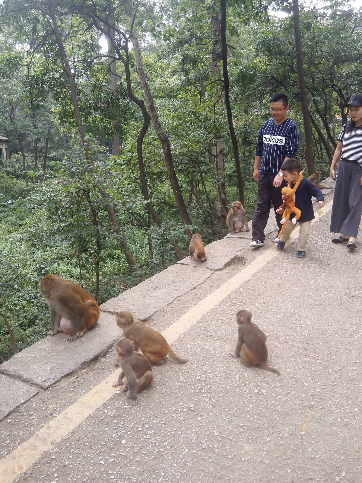 贵州省贵阳旅游攻略_贵州贵阳旅游攻略_贵州贵阳旅游路线