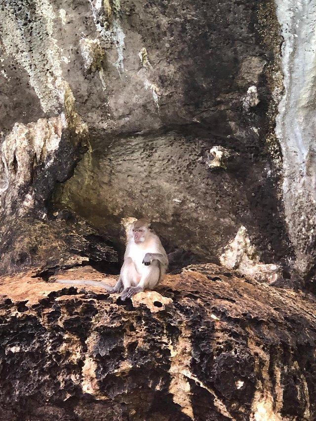 普吉岛芭东旅游攻略_普吉岛芭东区_普吉岛巴东