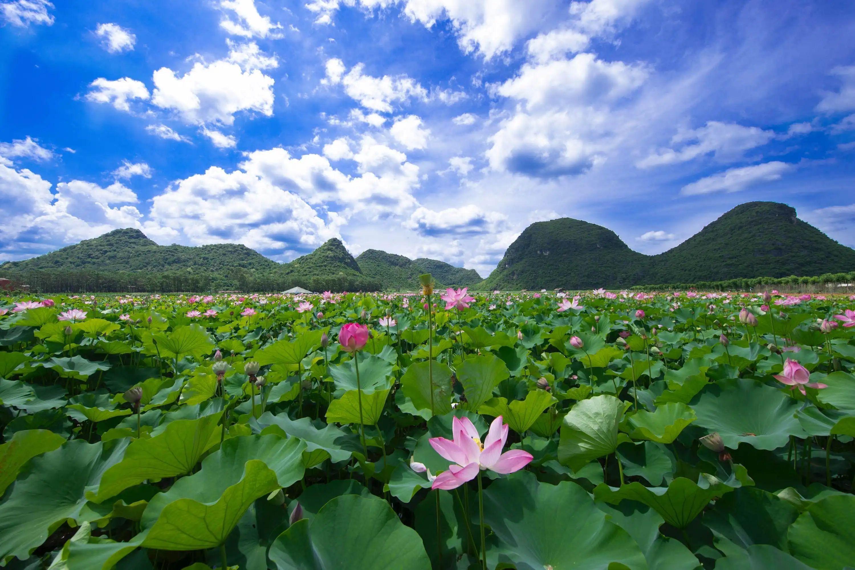 云南文山普者黑风景区旅游攻略及旅游线路推荐