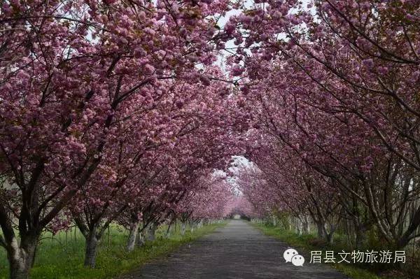 五月太白山2日旅游攻略_太白旅游路线_5月太白山旅游攻略一日游