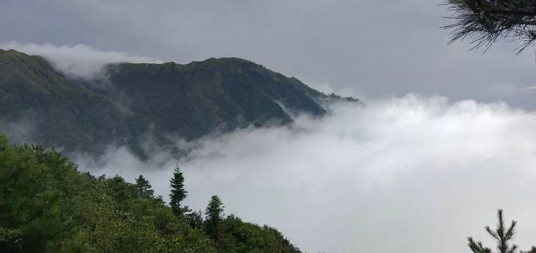 长沙武功山自驾费用多少_长沙到武功山旅游攻略_长沙武功山一日游