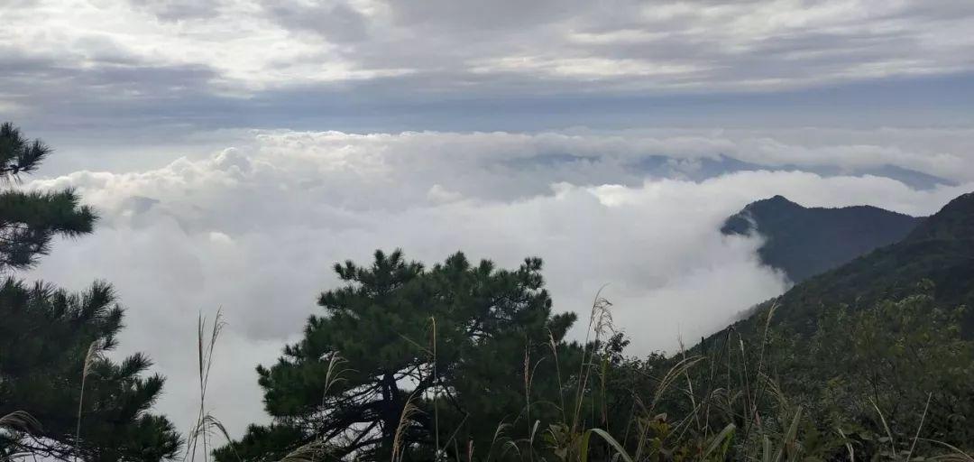 长沙武功山一日游_长沙到武功山旅游攻略_长沙武功山自驾费用多少