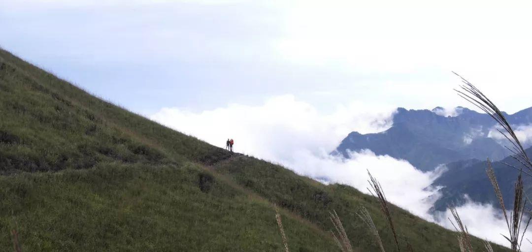 长沙武功山一日游_长沙武功山自驾费用多少_长沙到武功山旅游攻略