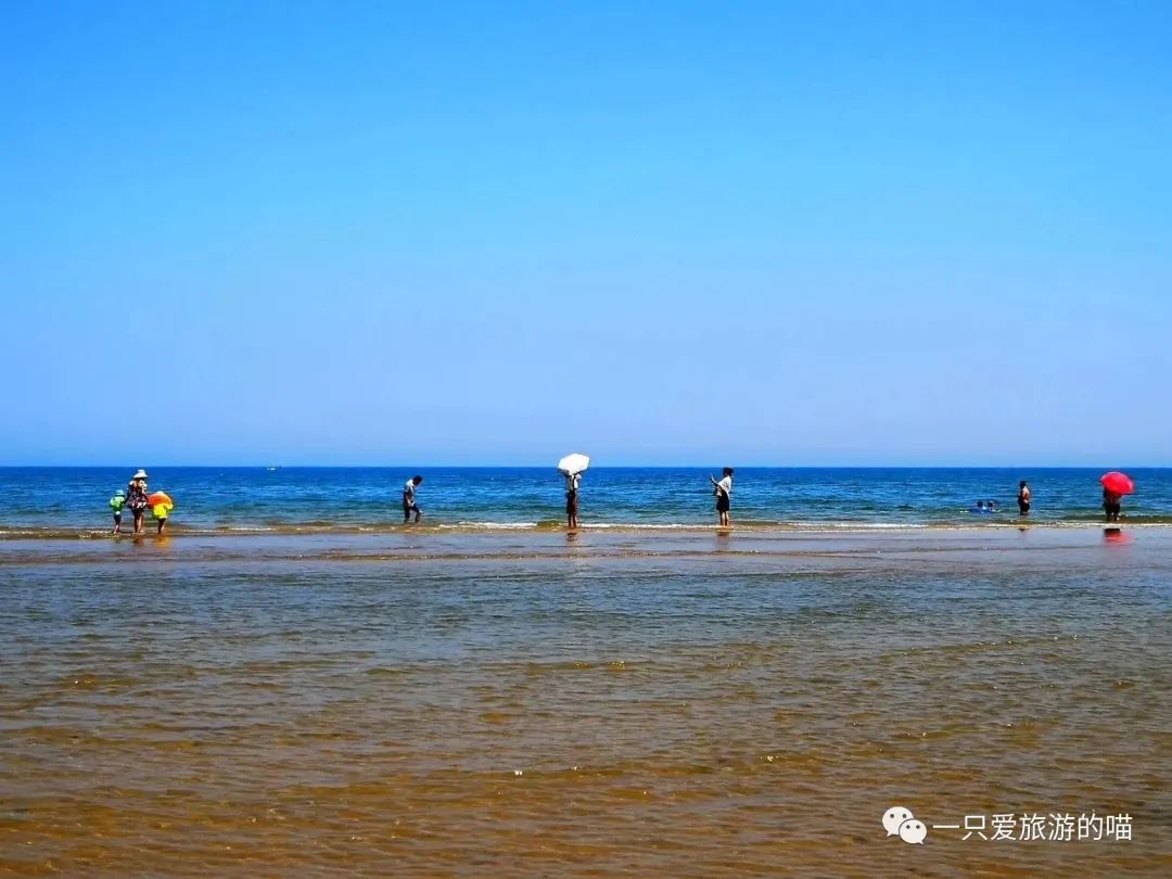 青岛自助旅游网_青岛自助游旅游攻略_青岛自助游最新攻略