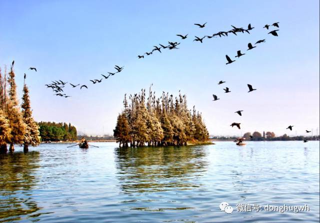 武汉东湖适合什么时候去_冬季武汉东湖游玩攻略_武汉东湖冬天