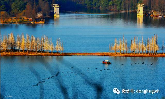 武汉东湖冬天_冬季武汉东湖游玩攻略_武汉东湖适合什么时候去