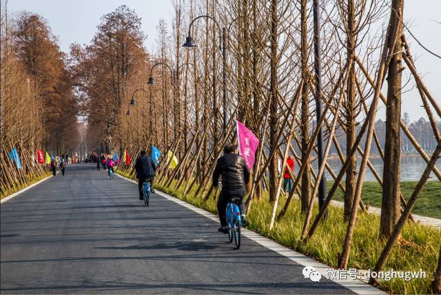 冬季武汉东湖游玩攻略_武汉东湖适合什么时候去_武汉东湖冬天