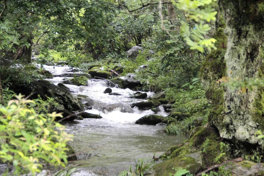 长沙武功山自驾费用多少_长沙到武功山旅游攻略_长沙武功山自驾游徒步攻略