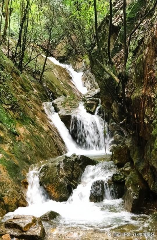 黄山千岛湖旅游攻略_黄山千岛湖旅游攻略自驾游_黄山攻略旅游千岛湖最佳路线