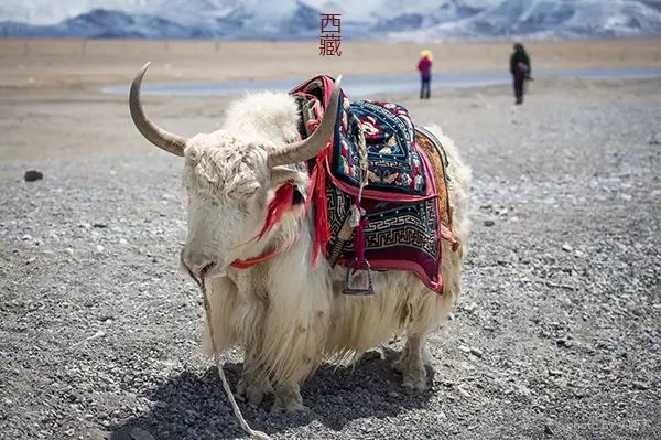 10月出国旅游推荐_10月国外旅游_十月旅游国外最佳去处