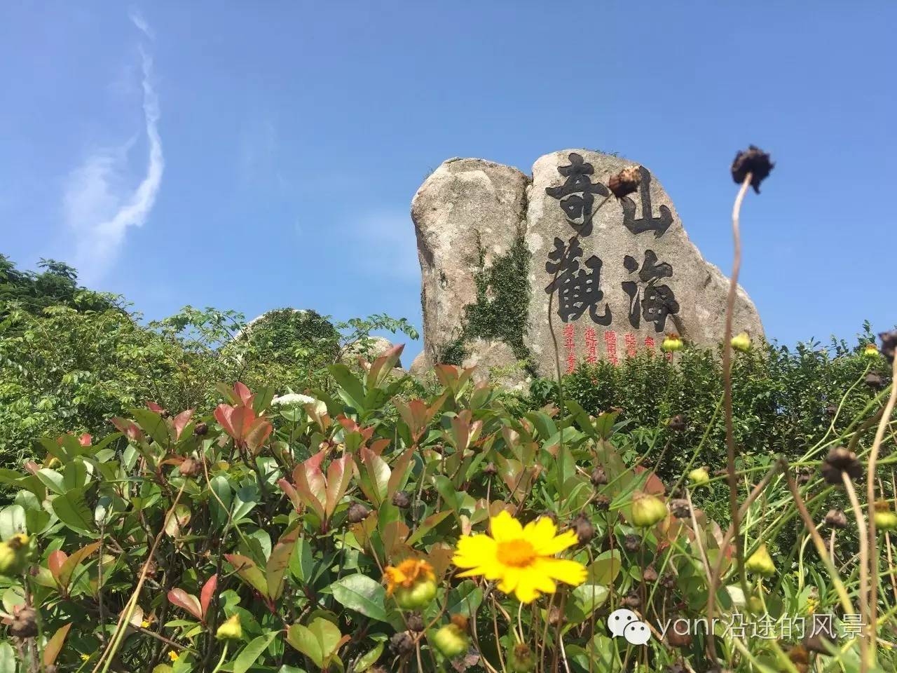 枸杞岛游玩攻略费用_枸杞岛攻略一日游_枸杞岛旅游攻略图片