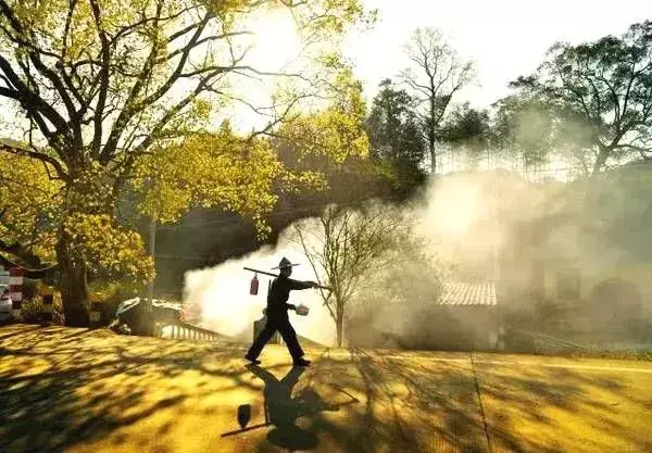 武夷山住宿最佳位置_武夷山旅游攻略住宿_武夷山景区住宿攻略