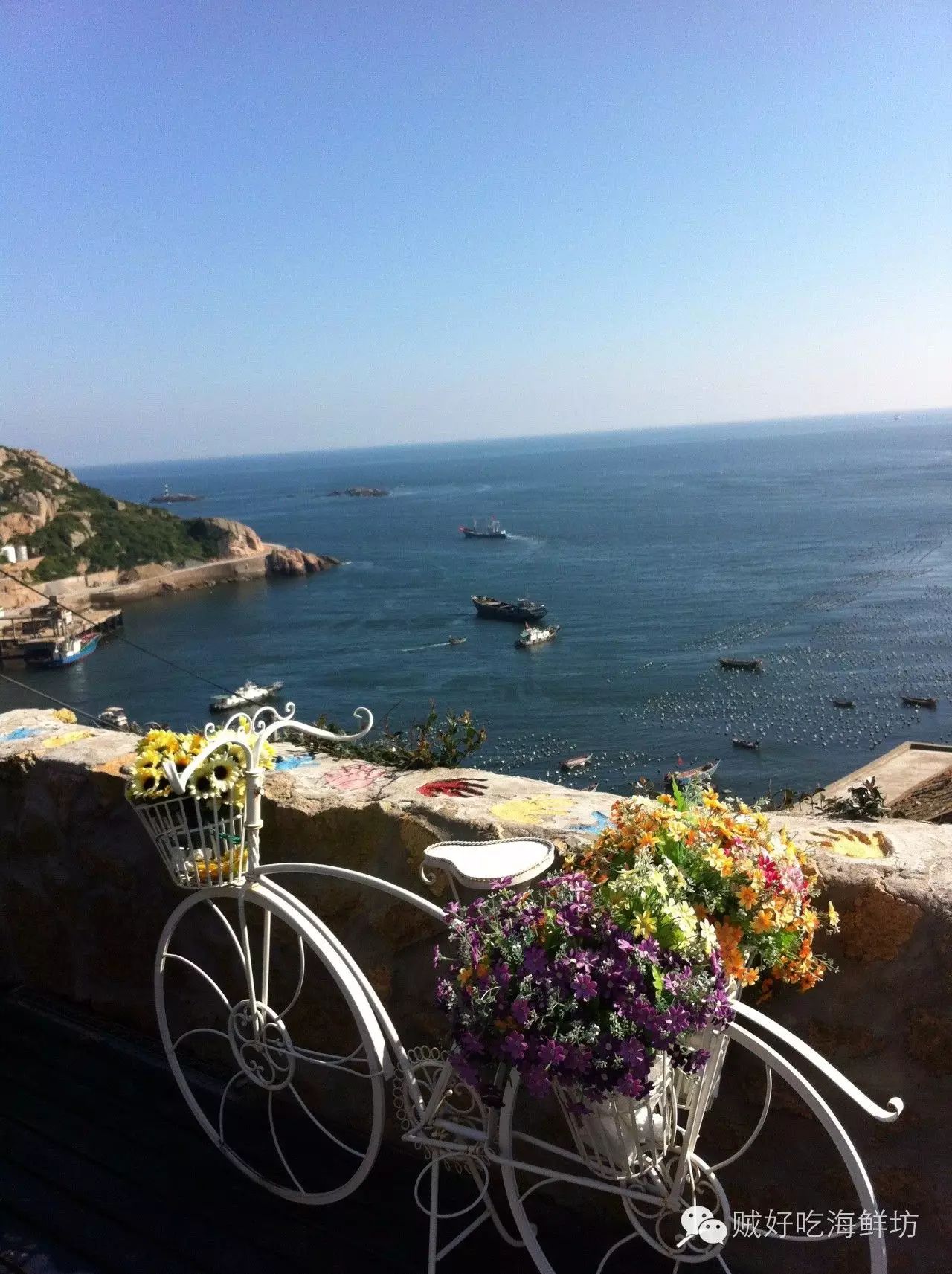 枸杞岛旅游攻略图片_枸杞岛风景区图片_枸杞岛攻略一日游