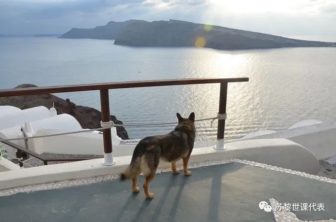 济州岛邮轮码头_济州岛邮轮旅游攻略_济州岛游轮事故