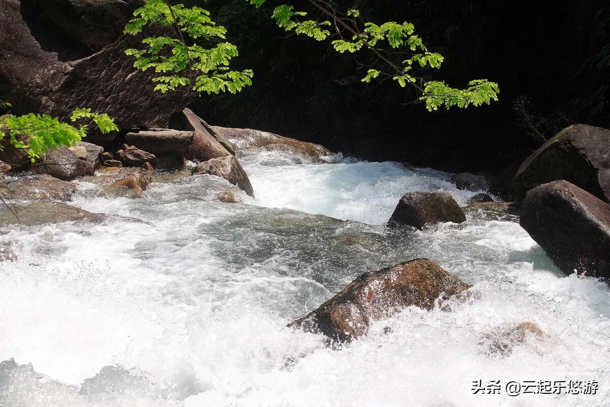 武夷山住宿最佳位置_武夷山自由行住宿攻略_武夷山旅游攻略住宿