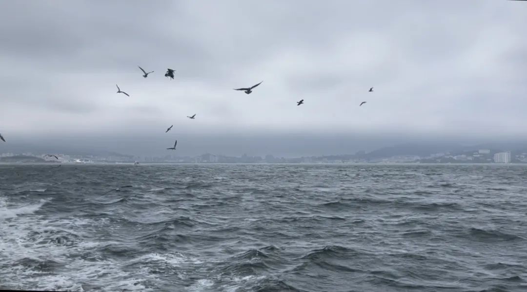 临海旅游美食攻略_临海旅游景点大全一日游_临海旅游景点攻略