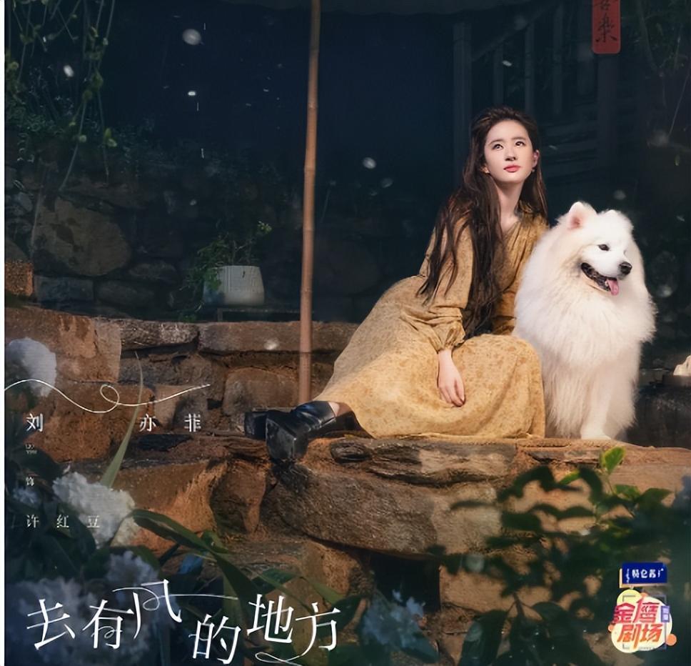 职场的电视剧排行榜_十大职场电视剧_职场电视剧排行榜2020
