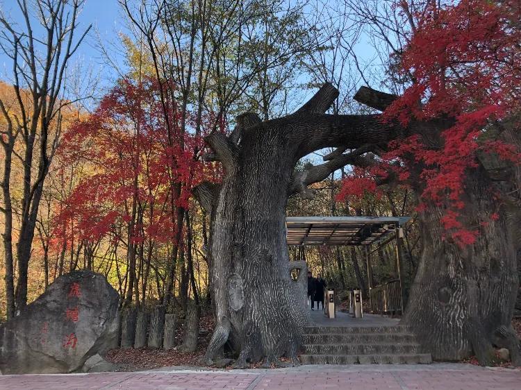 好玩丹东市地方内有哪些_丹东市好玩的_丹东市内好玩的地方