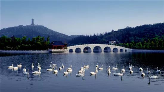 浏阳游玩景点_浏阳哪里好玩的景点_好玩景点浏阳有哪些