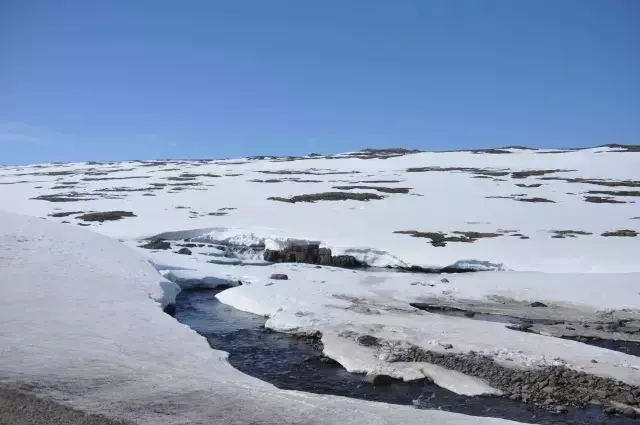 冰岛旅行景点_冰岛旅游攻略及花费八日游_冰岛旅游攻略