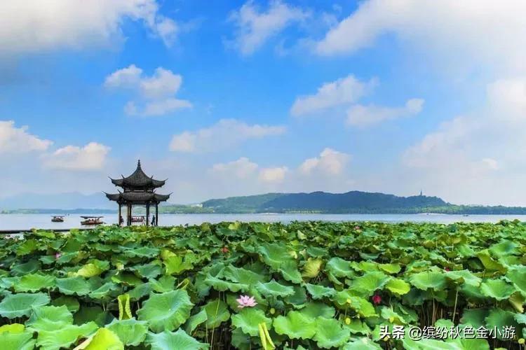 西湖 景区车 旅游攻略_西湖景区游览车_西湖攻略景区旅游车路线图