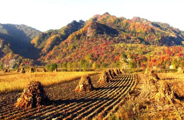 建昌龙潭大峡谷风景门票_建昌龙潭大峡谷风景区攻略_建昌龙潭大峡谷旅游攻略