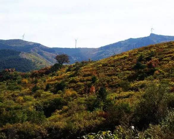 建昌龙潭大峡谷风景门票_建昌龙潭大峡谷旅游攻略_建昌龙潭大峡谷风景区攻略