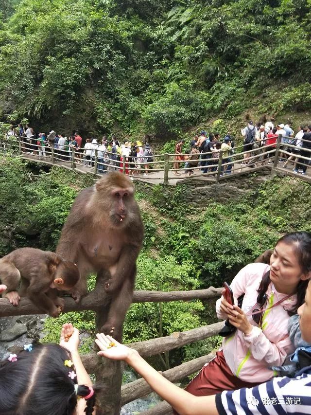 自驾攻略峨眉旅游山庄_峨眉山自驾游游攻略_峨眉山旅游攻略 自驾