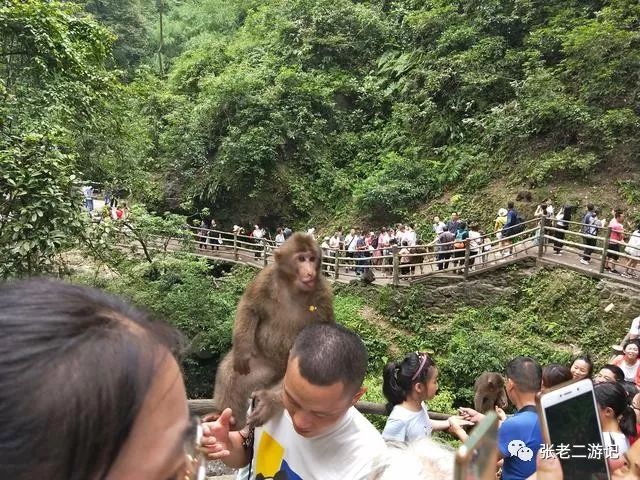 自驾攻略峨眉旅游山庄_峨眉山旅游攻略 自驾_峨眉山自驾游游攻略