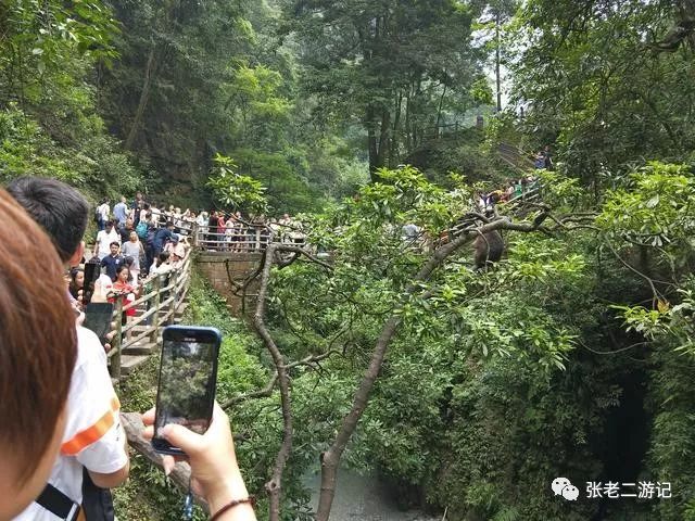 峨眉山旅游攻略 自驾_峨眉山自驾游游攻略_自驾攻略峨眉旅游山庄