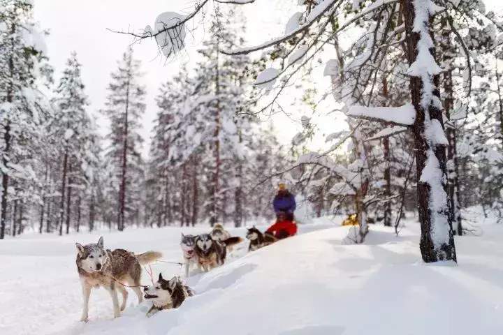 北欧极光之旅攻略_极光旅游攻略 北欧_北欧极光旅游多少钱