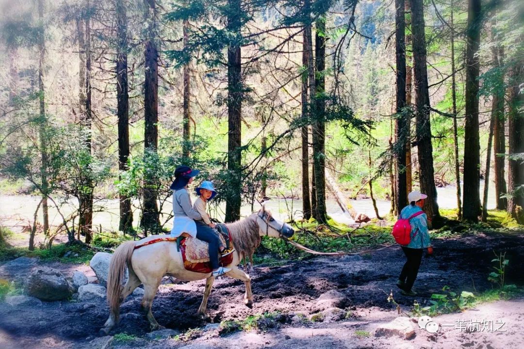 带姑娘旅游的说说_自驾攻略姑娘旅游山庄_自驾四姑娘山旅游攻略