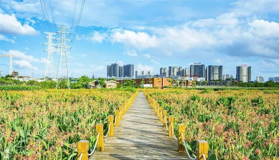 上海景点新天地_上海新天地游玩攻略_上海新天地一日游