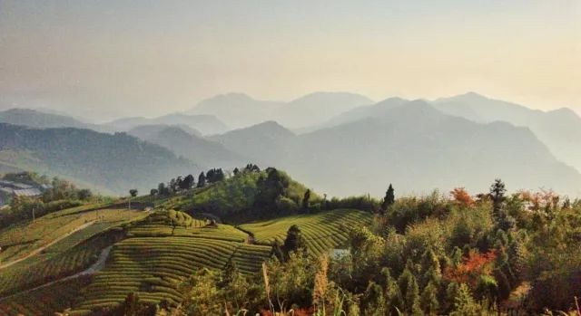 台湾阳明山风景图片_台湾阳明山原来叫什么名字_阳明山国家公园 台湾旅游攻略