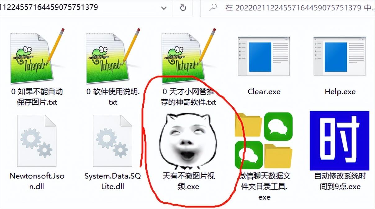 视频能保存到相册的软件_存视频存照片的软件_什么软件可以存照片和视频