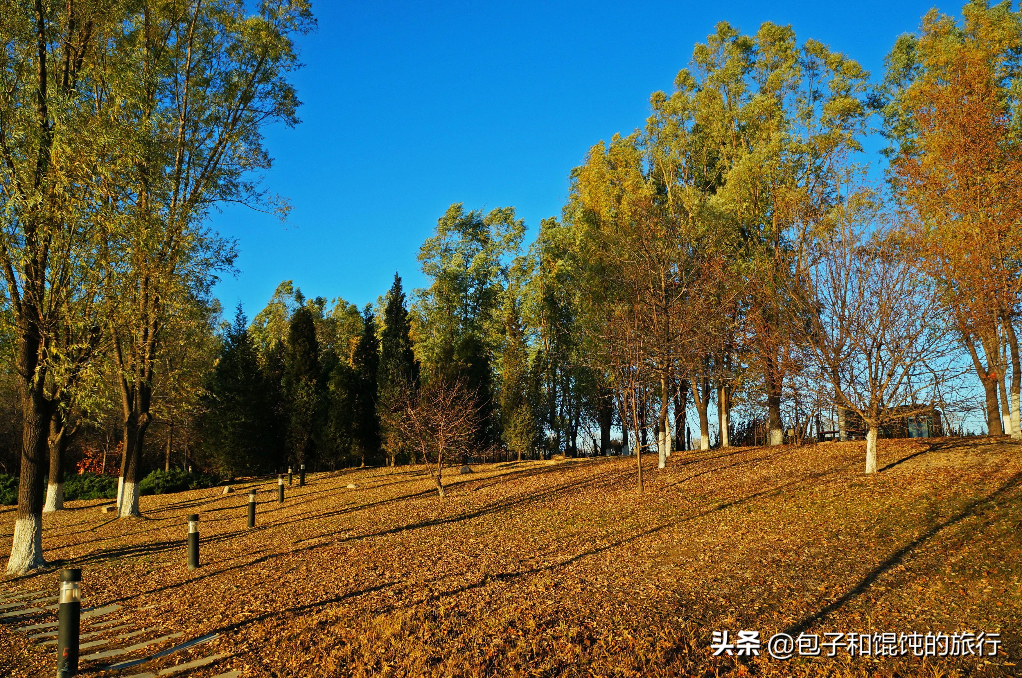 延庆旅游景点排名_延庆旅游的地方_北京延庆有什么旅游好玩的景点