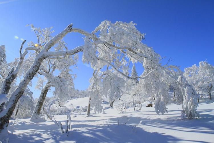 海林雪乡门票多少钱_海林雪乡旅游攻略_攻略旅游海林雪乡的路线