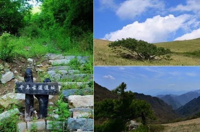 西安太白山自驾游攻略_西安太白山旅游攻略一日游_西安太白山旅游攻略