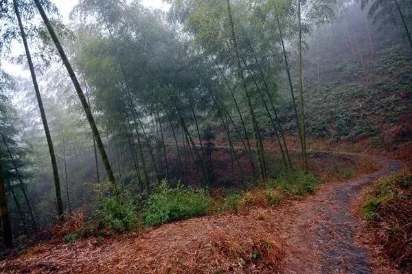 西安太白山自驾游攻略_西安太白山旅游攻略一日游_西安太白山旅游攻略